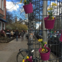 Weinbergsweg, Berlin, spring, flowers, bike, brunch, people, street